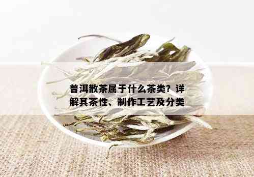 普洱散茶属于什么茶类？详解其茶性、制作工艺及分类