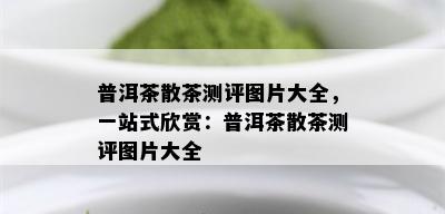 普洱茶散茶测评图片大全，一站式欣赏：普洱茶散茶测评图片大全