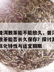 普洱散茶能不能放久，普洱散茶能否长久保存？探讨其陈化特性与适宜期限