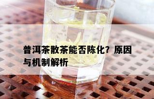 普洱茶散茶能否陈化？原因与机制解析