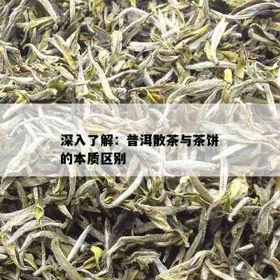 深入了解：普洱散茶与茶饼的本质区别