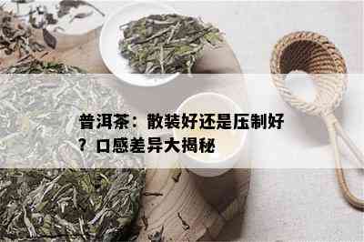 普洱茶：散装好还是压制好？口感差异大揭秘