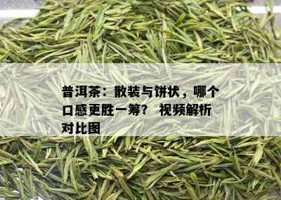 普洱茶：散装与饼状，哪个口感更胜一筹？ 视频解析对比图