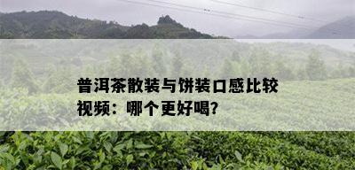 普洱茶散装与饼装口感比较视频：哪个更好喝？