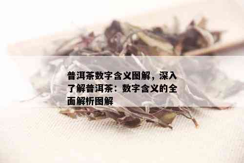 普洱茶数字含义图解，深入了解普洱茶：数字含义的全面解析图解