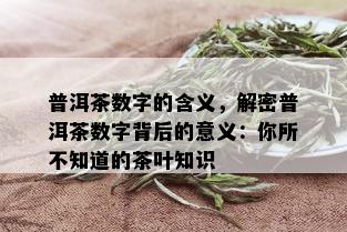 普洱茶数字的含义，解密普洱茶数字背后的意义：你所不知道的茶叶知识