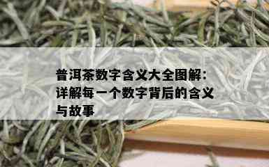 普洱茶数字含义大全图解：详解每一个数字背后的含义与故事