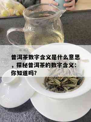 普洱茶数字含义是什么意思，探秘普洱茶的数字含义：你知道吗？