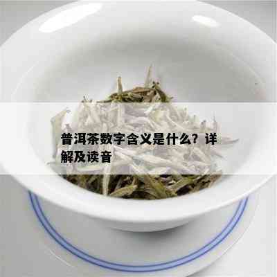 普洱茶数字含义是什么？详解及读音