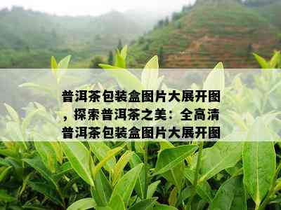 普洱茶包装盒图片大展开图，探索普洱茶之美：全高清普洱茶包装盒图片大展开图