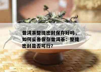 普洱茶整提密封保存好吗，如何妥善保存普洱茶：整提密封是否可行？