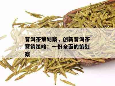 普洱茶策划案，创新普洱茶营销策略：一份全面的策划案