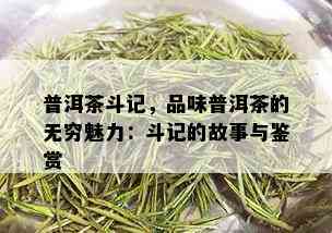 普洱茶斗记，品味普洱茶的无穷魅力：斗记的故事与鉴赏