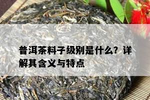 普洱茶料子级别是什么？详解其含义与特点