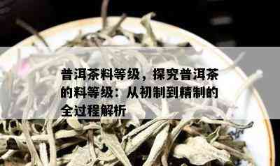 普洱茶料等级，探究普洱茶的料等级：从初制到精制的全过程解析