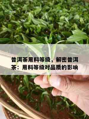 普洱茶用料等级，解密普洱茶：用料等级对品质的影响