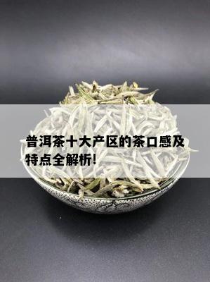 普洱茶十大产区的茶口感及特点全解析!