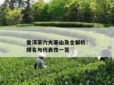 普洱茶六大茶山及全解析：排名与代表性一览