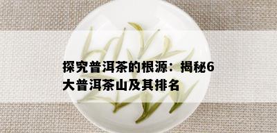 探究普洱茶的根源：揭秘6大普洱茶山及其排名