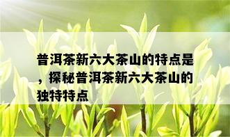 普洱茶新六大茶山的特点是，探秘普洱茶新六大茶山的独特特点