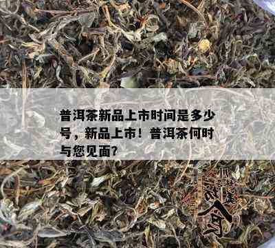 普洱茶新品上市时间是多少号，新品上市！普洱茶何时与您见面？