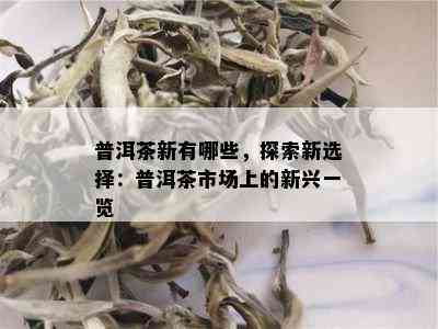 普洱茶新有哪些，探索新选择：普洱茶市场上的新兴一览