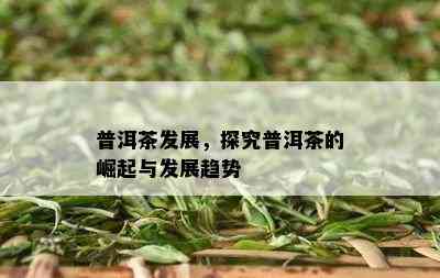 普洱茶发展，探究普洱茶的崛起与发展趋势