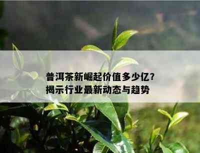 普洱茶新崛起价值多少亿？揭示行业最新动态与趋势