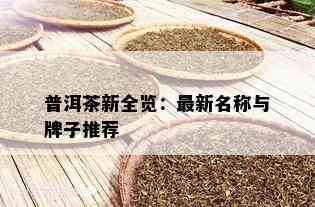 普洱茶新全览：最新名称与牌子推荐