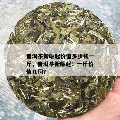 普洱茶新崛起价值多少钱一斤，普洱茶新崛起：一斤价值几何？