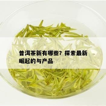 普洱茶新有哪些？探索最新崛起的与产品