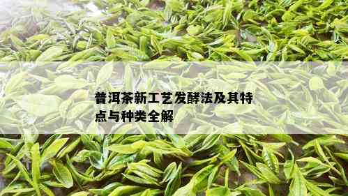 普洱茶新工艺发酵法及其特点与种类全解