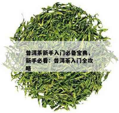 普洱茶新手入门必备宝典，新手必看：普洱茶入门全攻略