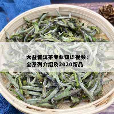 大益普洱茶专业知识视频：全系列介绍及2020新品