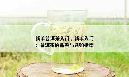 新手普洱茶入门，新手入门：普洱茶的品鉴与选购指南