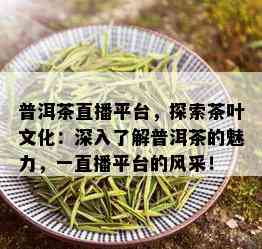 普洱茶直播平台，探索茶叶文化：深入了解普洱茶的魅力，一直播平台的风采！