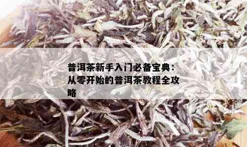 普洱茶新手入门必备宝典：从零开始的普洱茶教程全攻略