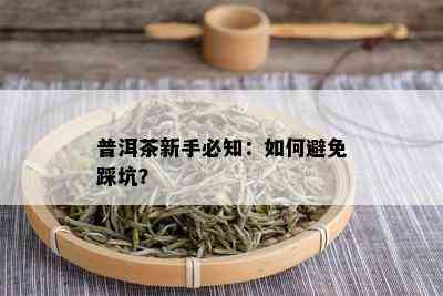 普洱茶新手必知：如何避免踩坑？