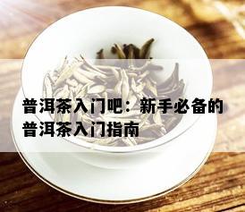 普洱茶入门吧：新手必备的普洱茶入门指南