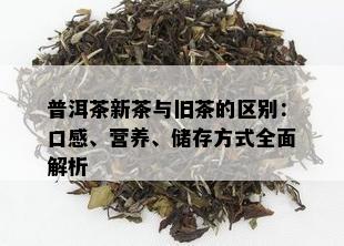 普洱茶新茶与旧茶的区别：口感、营养、储存方式全面解析