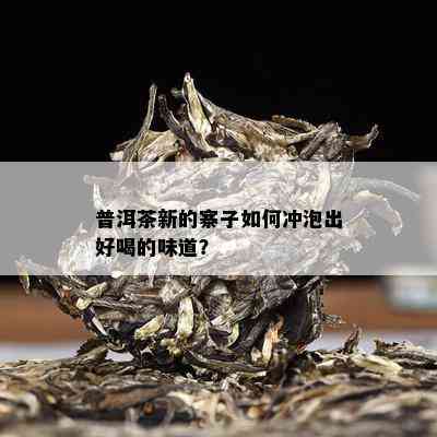 普洱茶新的寨子如何冲泡出好喝的味道？