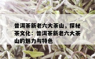 普洱茶新老六大茶山，探秘茶文化：普洱茶新老六大茶山的魅力与特色