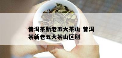 普洱茶新老五大茶山-普洱茶新老五大茶山区别