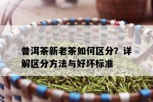 普洱茶新老茶如何区分？详解区分方法与好坏标准