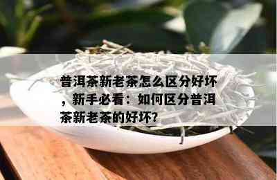 普洱茶新老茶怎么区分好坏，新手必看：如何区分普洱茶新老茶的好坏？