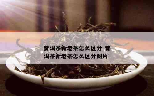 普洱茶新老茶怎么区分-普洱茶新老茶怎么区分图片