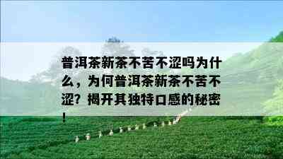 普洱茶新茶不苦不涩吗为什么，为何普洱茶新茶不苦不涩？揭开其独特口感的秘密！