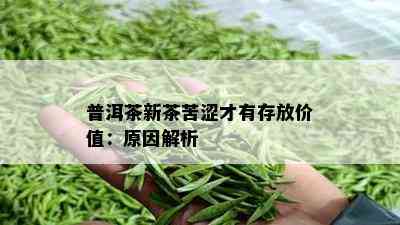 普洱茶新茶苦涩才有存放价值：原因解析