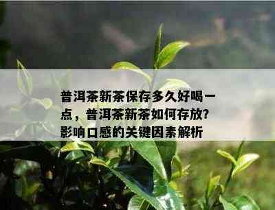 普洱茶新茶保存多久好喝一点，普洱茶新茶如何存放？影响口感的关键因素解析