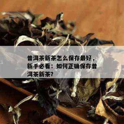 普洱茶新茶怎么保存更好，新手必看：如何正确保存普洱茶新茶？